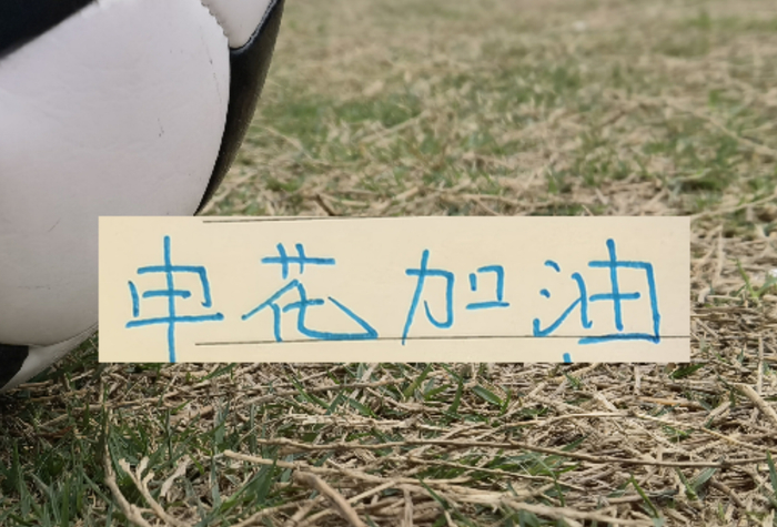 如果没有罚分的话！申花应该是夺冠热门|上海申花|联赛|成都|中超|上海申花足球俱乐部_新浪体育_新浪新闻